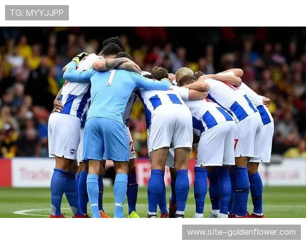 布莱顿主场氛围激情四溢 美国运通社区球场如同坚固堡垒 布莱顿主场氛围激情四溢 美国运通社区球场如同坚固堡垒