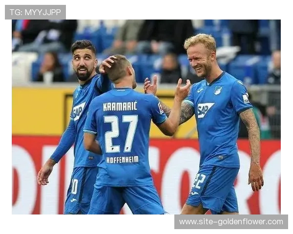 霍芬海姆客场表现出色 高位逼抢战术成效显著